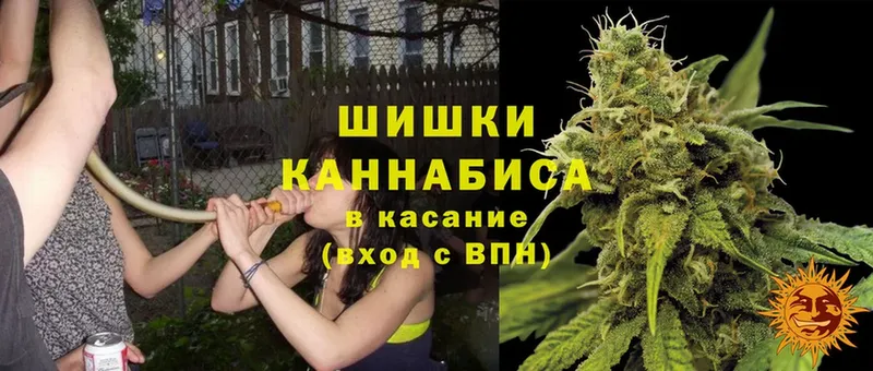 Бошки марихуана Amnesia  купить наркотик  Льгов 